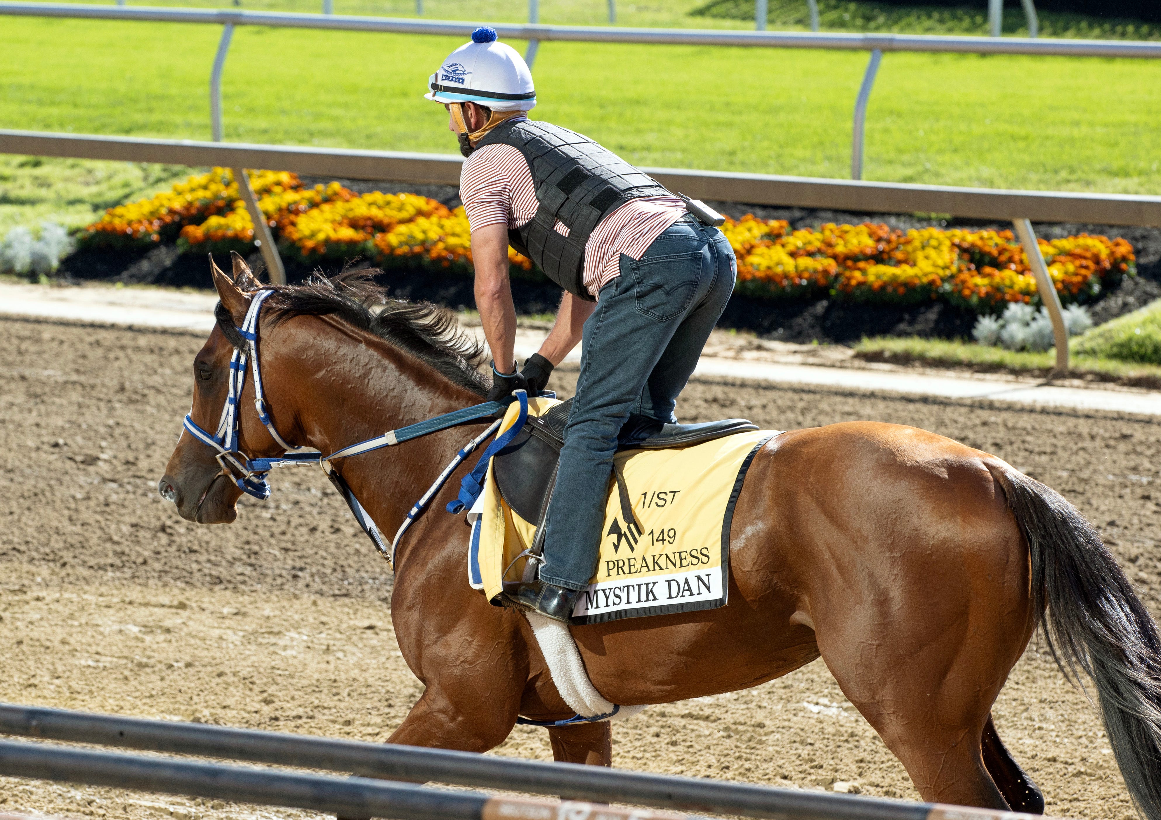 preakness-2024-mystik-dan-finds-himself-in-unexpected-role-as-favorite